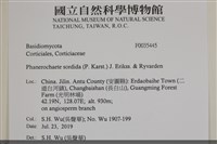 登錄號:F0035445藏品圖，第2張