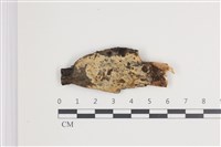登錄號:F0035445藏品圖，第1張