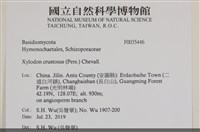登錄號:F0035446藏品圖，第2張