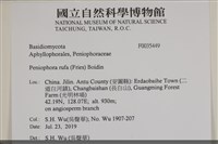 登錄號:F0035449藏品圖，第2張