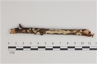 登錄號:F0035450藏品圖，第1張