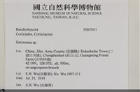 登錄號:F0035451藏品圖，第2張