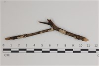 登錄號:F0035452藏品圖，第1張