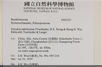 登錄號:F0035453藏品圖，第2張