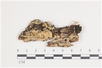 登錄號:F0035453藏品圖，第1張