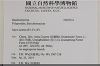 登錄號:F0035454藏品圖，第2張
