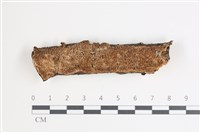 登錄號:F0035454藏品圖，第1張