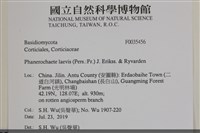 登錄號:F0035456藏品圖，第2張
