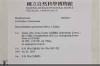 登錄號:F0035457藏品圖，第2張