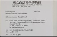 登錄號:F0035459藏品圖，第2張
