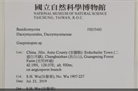 登錄號:F0035460藏品圖，第2張