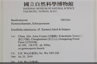 登錄號:F0035461藏品圖，第2張
