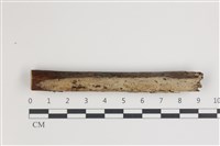登錄號:F0035461藏品圖，第1張