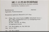 館號:F0035463藏品圖，第2張