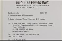 館號:F0035464藏品圖，第2張
