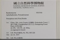 登錄號:F0035466藏品圖，第2張