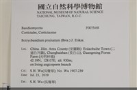 登錄號:F0035468藏品圖，第2張