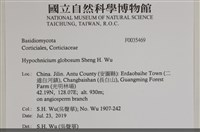 登錄號:F0035469藏品圖，第2張