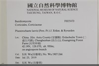 登錄號:F0035470藏品圖，第2張
