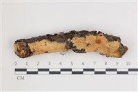 登錄號:F0035470藏品圖，第1張
