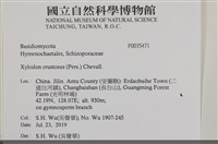 登錄號:F0035471藏品圖，第2張
