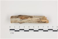 登錄號:F0035471藏品圖，第1張