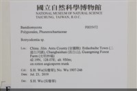 登錄號:F0035472藏品圖，第2張