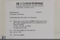 登錄號:F0035476藏品圖，第2張
