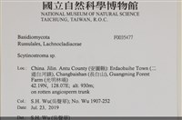 登錄號:F0035477藏品圖，第2張