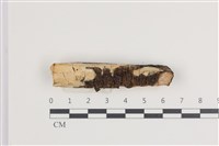 登錄號:F0035477藏品圖，第1張