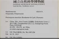 登錄號:F0035479藏品圖，第2張