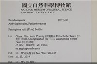 登錄號:F0035480藏品圖，第2張
