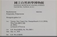 登錄號:F0035481藏品圖，第2張
