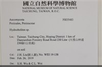 登錄號:F0035483藏品圖，第2張