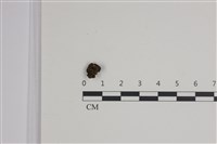 登錄號:F0035483藏品圖，第1張
