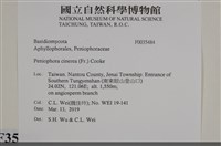 登錄號:F0035484藏品圖，第2張