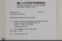 登錄號:F0035487藏品圖，第2張