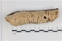 登錄號:F0035488藏品圖，第1張