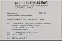 登錄號:F0035489藏品圖，第2張