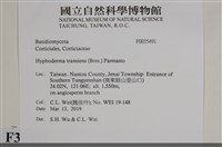 登錄號:F0035491藏品圖，第2張