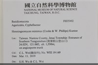 登錄號:F0035492藏品圖，第2張