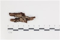 登錄號:F0035492藏品圖，第1張