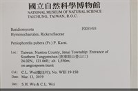 登錄號:F0035493藏品圖，第2張