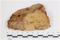 登錄號:F0035493藏品圖，第1張