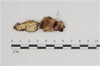 登錄號:F0035495藏品圖，第1張