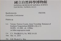 射脈菌屬藏品圖，第2張