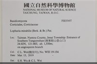 登錄號:F0035497藏品圖，第2張