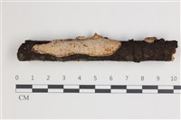 登錄號:F0035497藏品圖，第1張