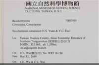 館號:F0035499藏品圖，第2張