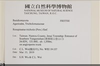 登錄號:F0035500藏品圖，第2張